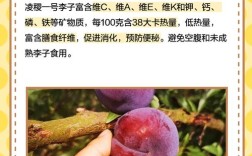 李子品种有哪些？看图识品种！