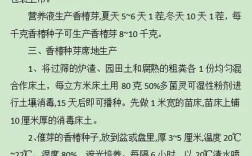 北方香椿种植技术有哪些要点？