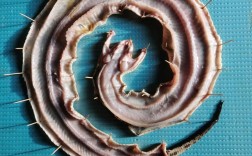 五步蛇养殖技术关键步骤有哪些？