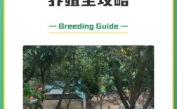 家庭散养蛋鸡如何高效养殖？