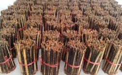 野生蜈蚣2025价格会涨还是跌？