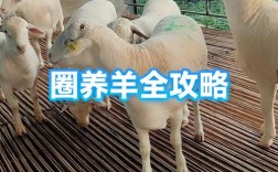 科技圈养山羊技术视频