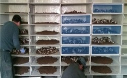 蜗牛养殖技术有限公司有何核心技术优势？