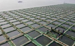山东淡水网箱养殖技术