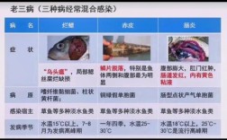 养殖草鱼技术疾病治疗
