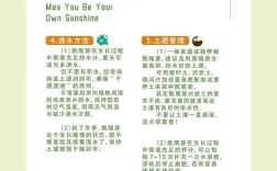 散尾葵和富贵椰子哪个更贵？