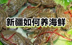 新疆海鲜市场价格怎么样？