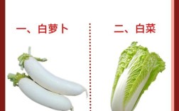 冬季常见蔬菜品种有哪些？