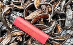 2025年水蛭鲜品价格会涨还是跌？