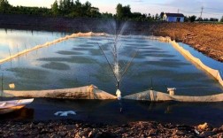 黄骨鱼养殖技术视频有哪些要点？