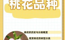 单瓣桃花有哪些常见品种？