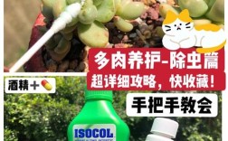 哪些多肉品种能避开蚧壳虫侵扰？