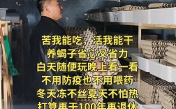 云南蝎子养殖利润技术，真如传说中暴利吗？