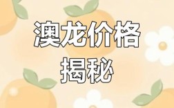 2025上海澳龙价格会涨还是跌？