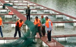 安徽网箱养殖技术培训，如何提升养殖效益？