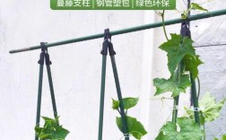 架式种植技术的名称是什么？