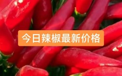 2025干辣椒行情如何？价格会涨还是跌？