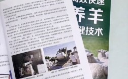 高效养羊关键技术指导
