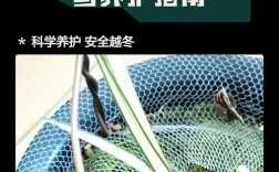 兰花品种不同，适应温度有何差异？