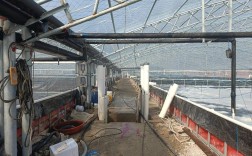 养南美白对虾技术周期