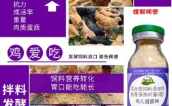 益生菌养鸡技术视频，如何提升养殖效益？