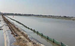 螃蟹养殖技术视频教程怎么学？