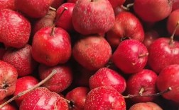 山东山楂有哪些常见品种？