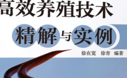湖北黄鳝养殖技术培训如何快速掌握核心技巧？