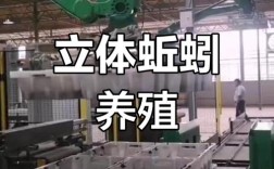 室内立体养殖蚯蚓技术如何高效应用？