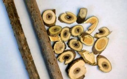 北方哪些多年生中药材品种值得种植？