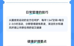 小尾寒羊饲养管理技术要点有哪些？