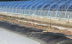 简易大棚鳝鱼养殖技术怎么掌握？