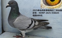 2025年鸽子价格行情如何？