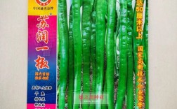 线椒哪个品种亩产最高？