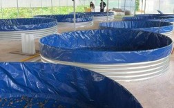 大棚养鱼技术视频大全