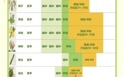 短周期农业新品种，如何实现高效与优质？