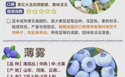 南方蓝莓哪个品种最好吃？