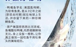 2025年鸭嘴鱼价格