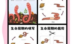 蚯蚓养殖新技术PDF有哪些要点？