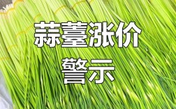 2025年蒜薹价格会涨还是会跌？