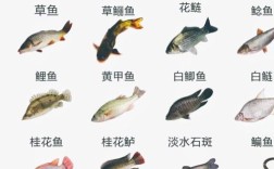 常见水产品品种有哪些？