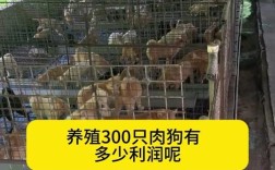 养殖场养品种狗能赚钱吗？