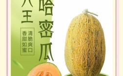 哈密瓜有哪些知名品种？