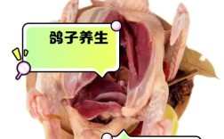 什么品种鸽子营养价值最高？