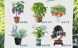 果树盆栽管理技术有哪些要点？