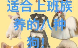 现在养什么品种狗最赚钱？