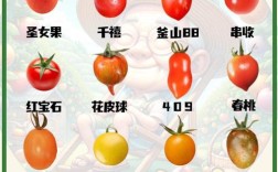 西红柿品种怎么选才高产？