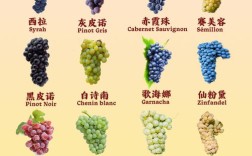 葡萄品种繁多，如何辨识？