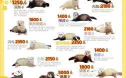 2025年9月水貂价格会涨还是跌？