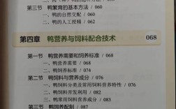 大棚养鸭技术培训PPT核心要点有哪些？